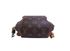 Ellipse Backpack, top view